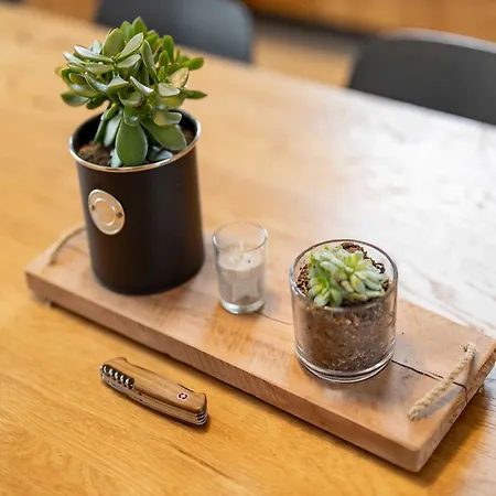 In Near Kutna Hora Castle