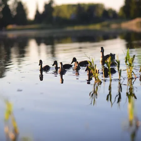 In Near Kutna Hora Castle Villa *