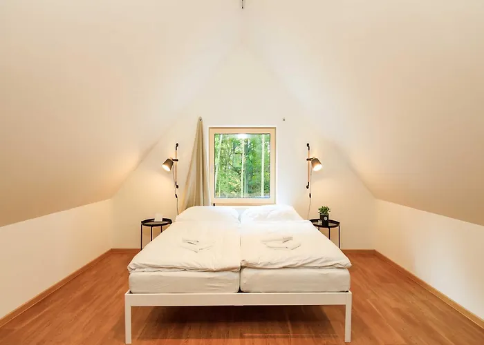 In Near Kutna Hora Castle Villa *