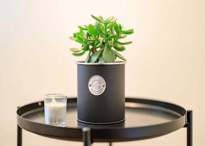 فيلة In Near Kutna Hora Castle