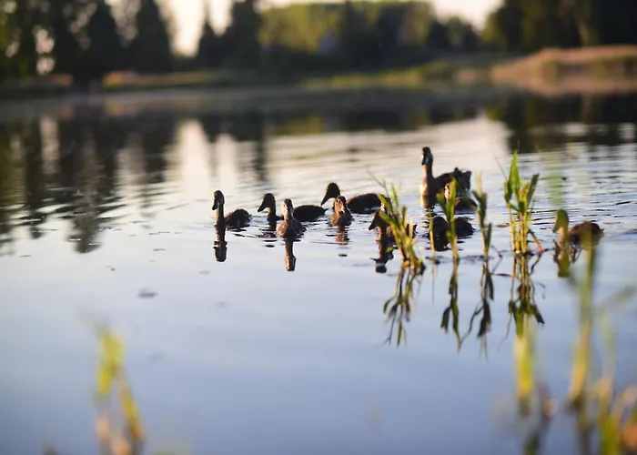 In Near Kutna Hora Castle Villa *